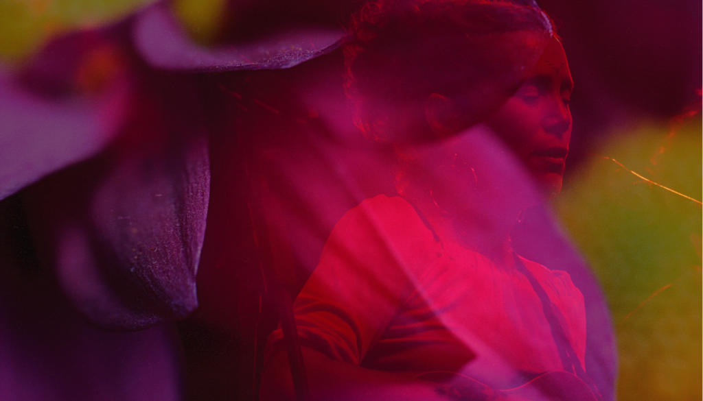 Iraida Noriega Jazz en México