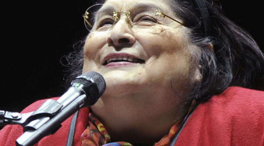 Mercedes Sosa