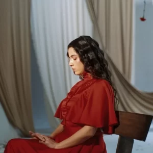 Silvana Estrada Silvana Estrada — Milagro y Desastre