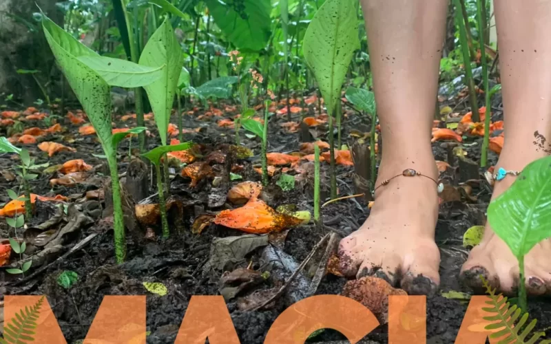 Magia - Juan Carlos Bidault