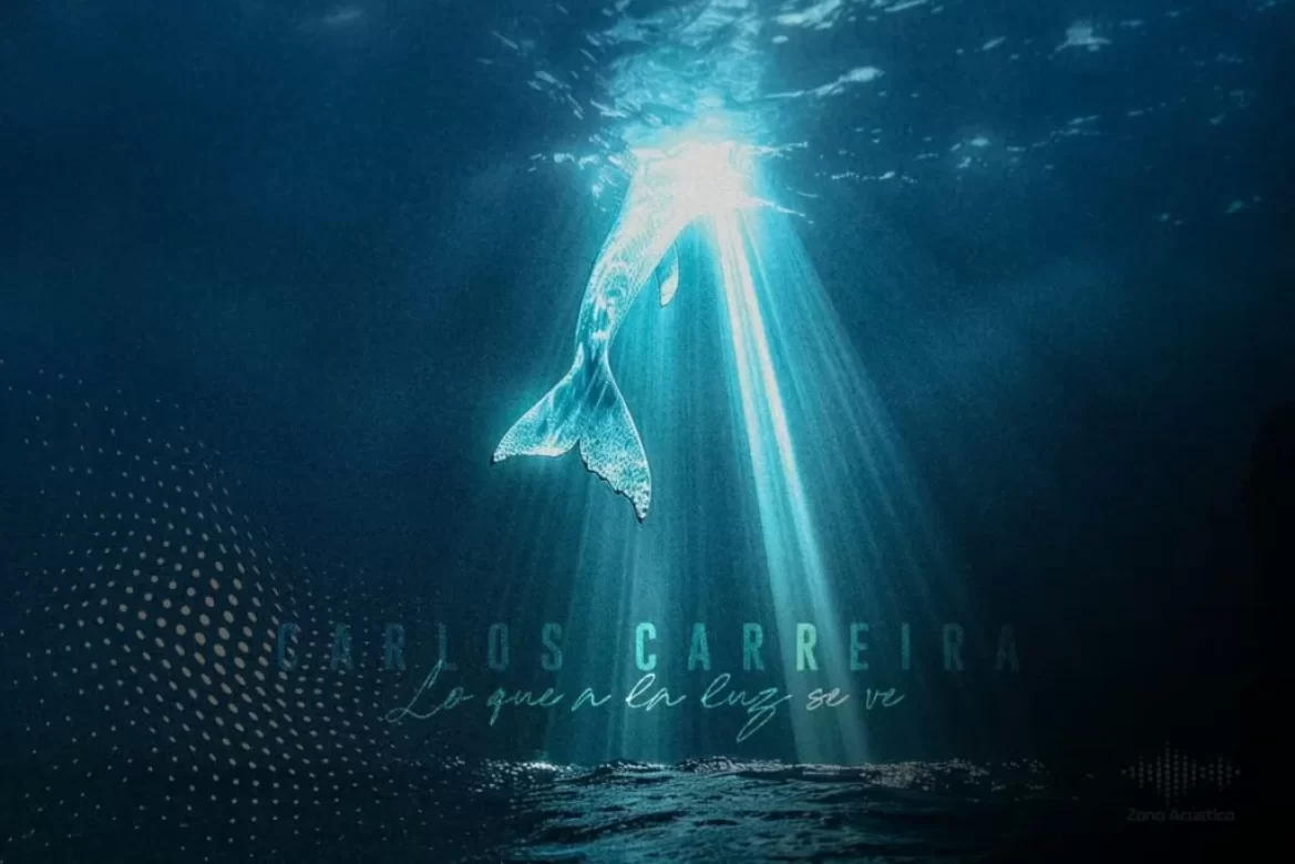 lo que a la luz se ve
