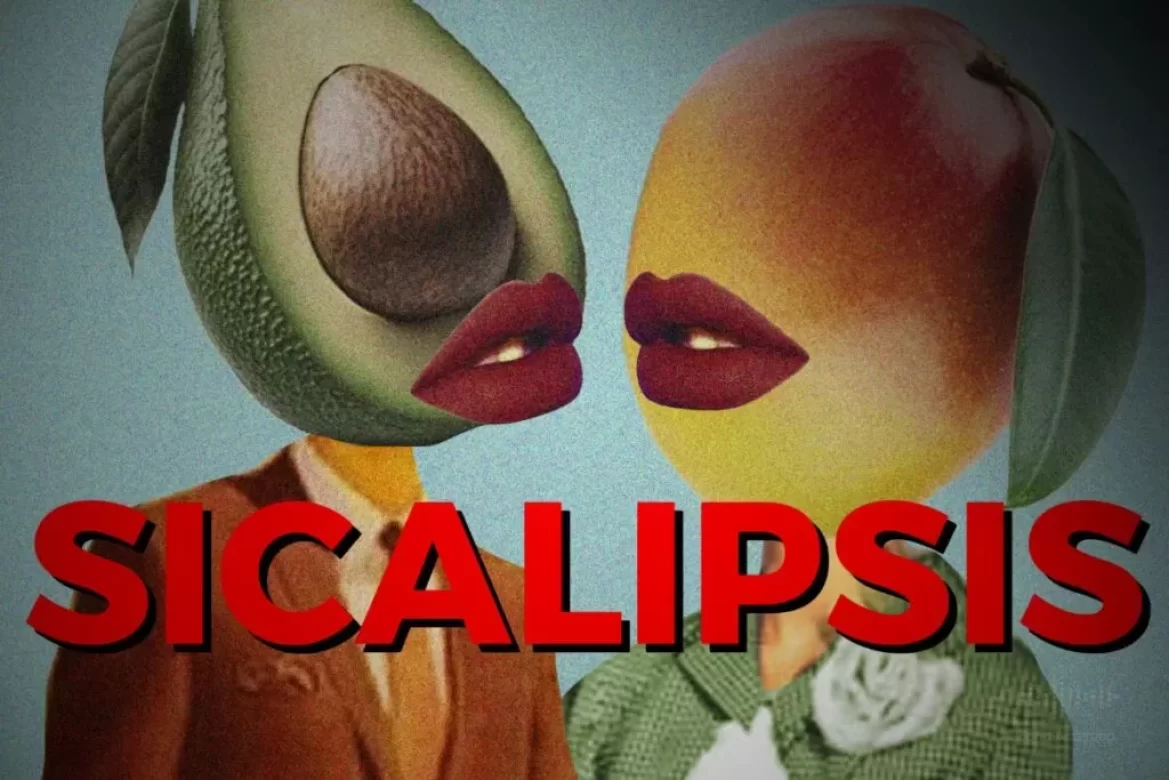 Sicalipsis Niño Van
