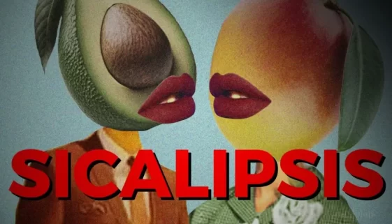 Sicalipsis Niño Van