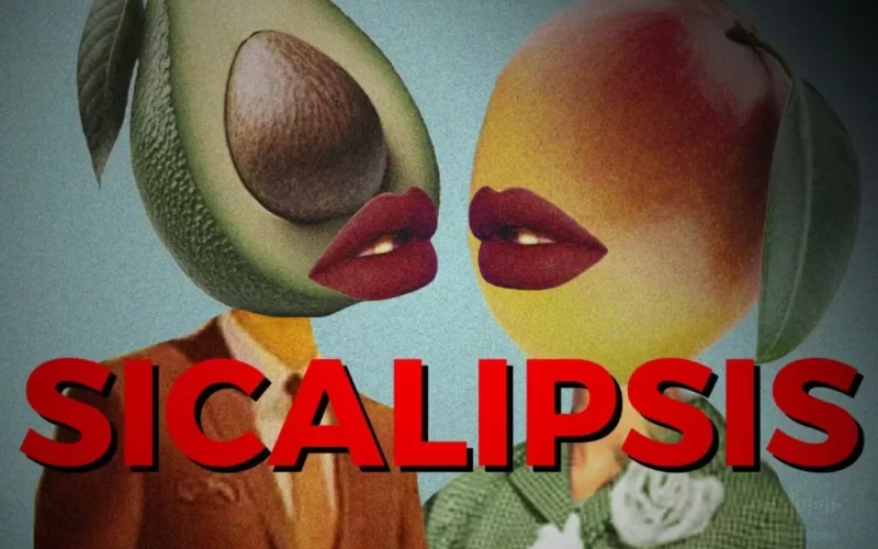 Sicalipsis Niño Van Sicalipsis Niño Van